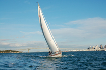 Sailing in NZ