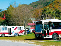 Buses parked in the Havelock Camp
