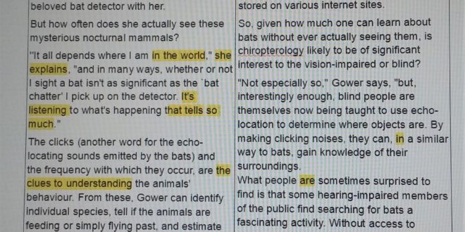 1. Highlight the words in your chosen piece of text this text from The Otago Daily Times newspaper was taken from an article about bats.