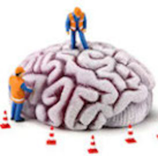 11270 brain construction image