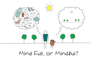 11510 mindful or mind full
