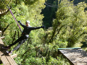 11540 canopy tours