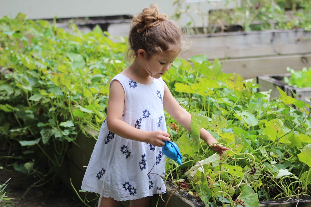 20 Gardening Tips I’d Tell My Younger Self