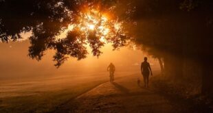 20 Simple Hacks for Mental Clarity and Focus