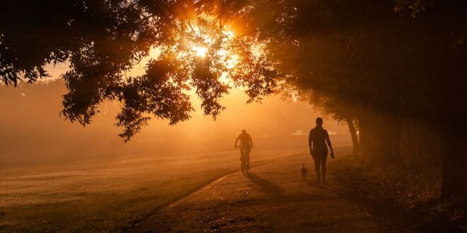 20 Simple Hacks for Mental Clarity and Focus