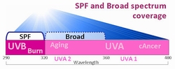 2978 SPF broad coverage diagram