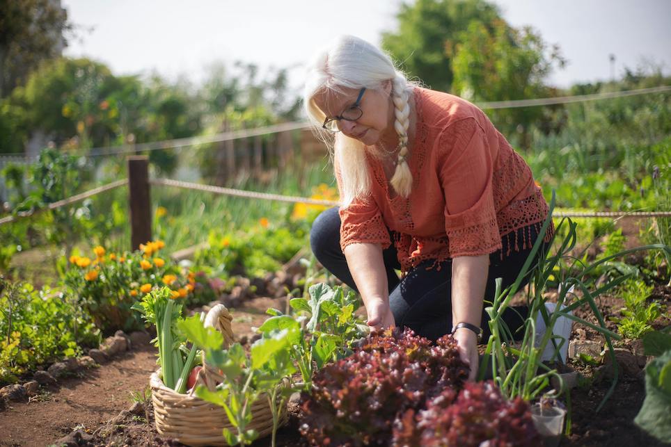 6 ways to Create Space in your Spring Vege Garden