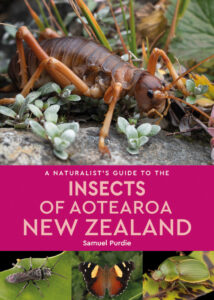 A Naturalist’s Guide to the Insects of Aotearoa New Zealand