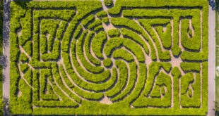 A-maz-ing Mazes to Entertain you this Summer