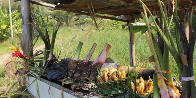 A roadside stall on the tropical East Coast.