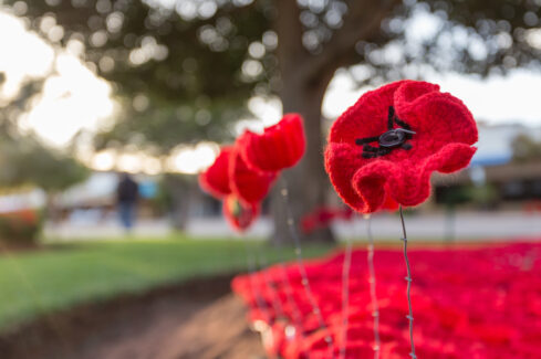 Anzac Day for Kids