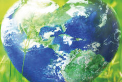 Being a Distance Grandchild