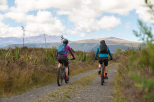 Bike the Marton Sash and Door