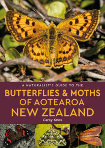 Butterflies & Moths of Aotearoa NZ