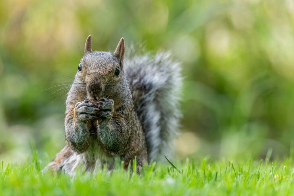 Chewing – who knew it could be so good for us