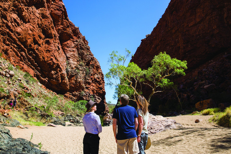 Darwin to Adelaide in Style The Ghan Expedition