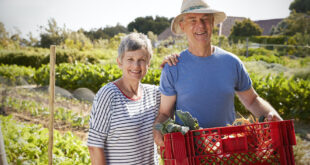 Farmers in Search of Retirement Home Solutions