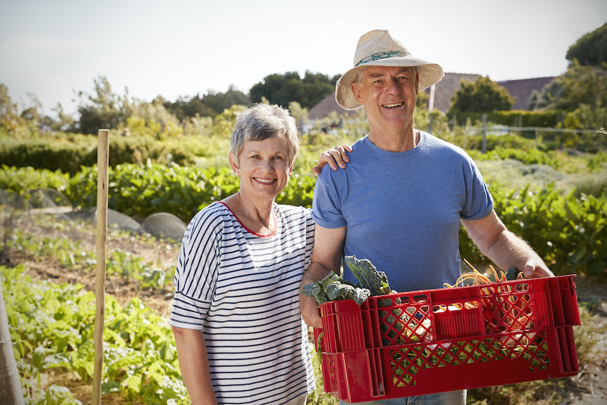 Farmers in Search of Retirement Home Solutions