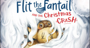 Flit the Fantail and the Christmas Crash