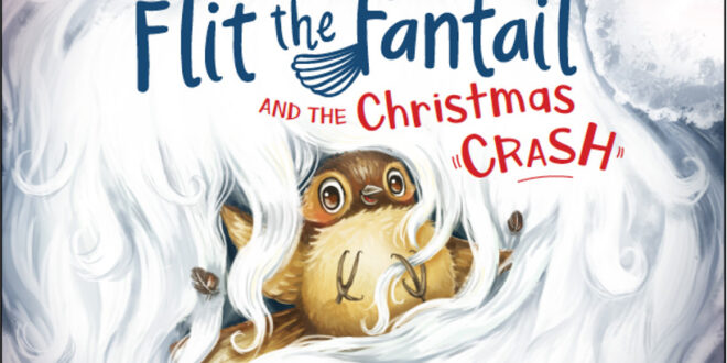 Flit the Fantail and the Christmas Crash