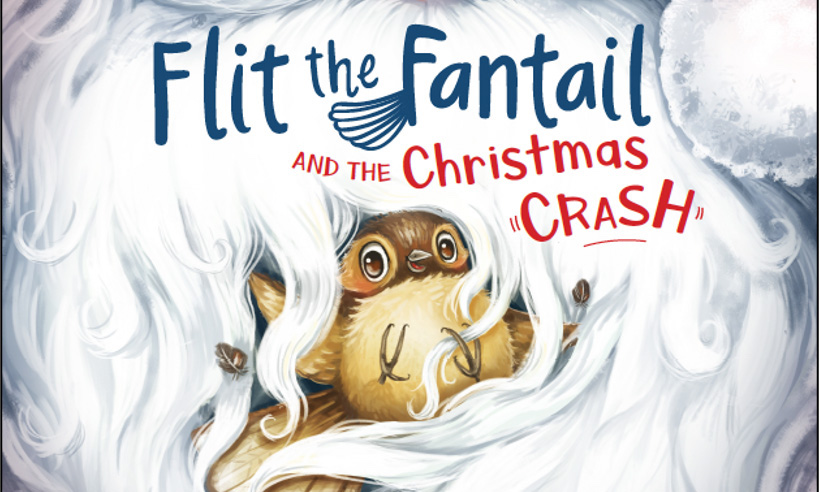 Flit the Fantail and the Christmas Crash