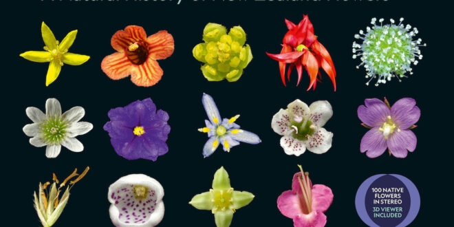 He Puāwai A Natural History of New Zealand