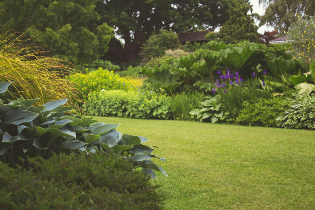 Herbaceous Borders