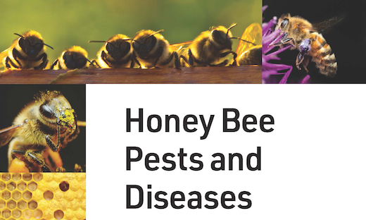 Honey Bee Pests and Disease