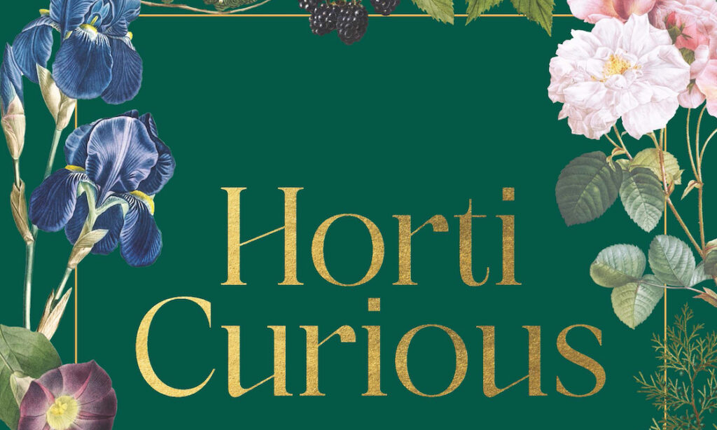 Horti-Curious