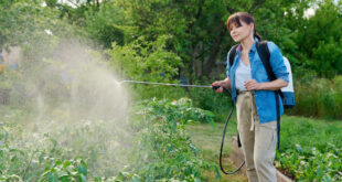 Maintaining your property without Glyphosate