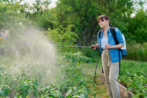 Maintaining your property without Glyphosate