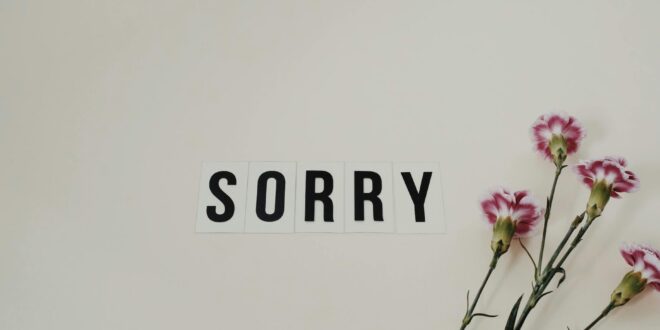 How to Apologise Meaningfully