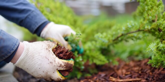 How to Climate-Change-Proof Your Garden