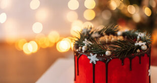 How to Introduce New Christmas Joys