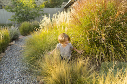 Introducing Grass Gardens