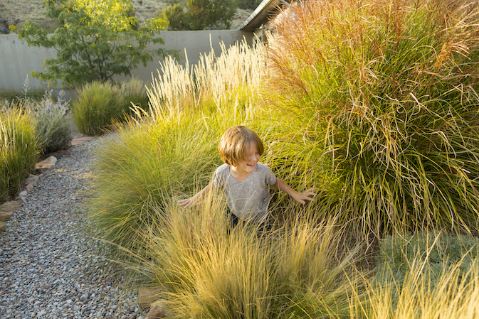 Introducing Grass Gardens