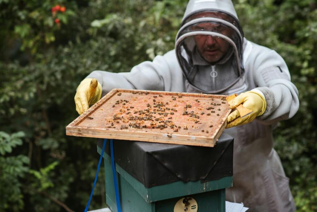 Is Hobby Beekeeping for you