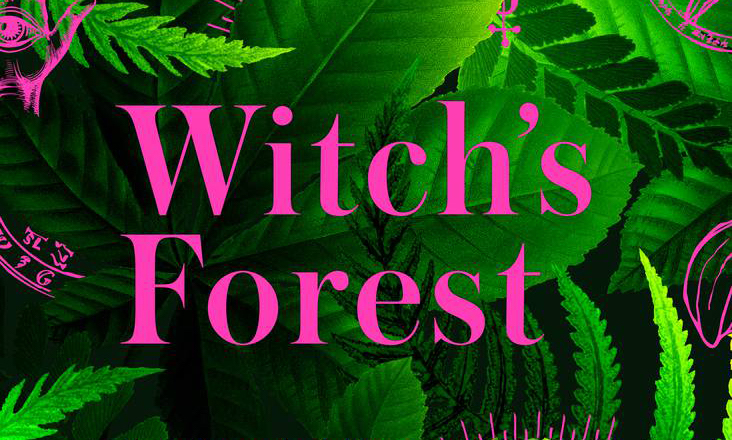 Kew Witch's Forest