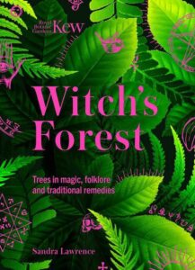 Kew Witch's Forest