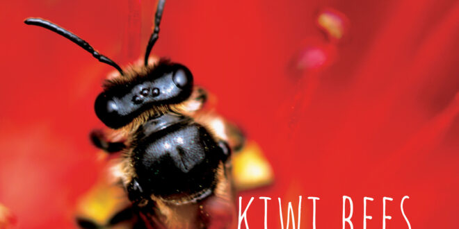 KiwiBees