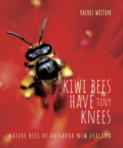 KiwiBees