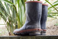 Love Your Kiwi Culture