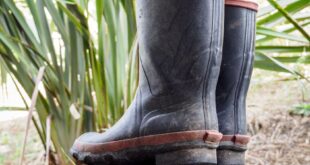 Love Your Kiwi Culture