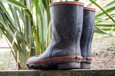 Love Your Kiwi Culture