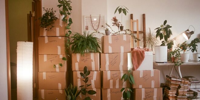 Moving House? 10 Ways to Ease the Burden