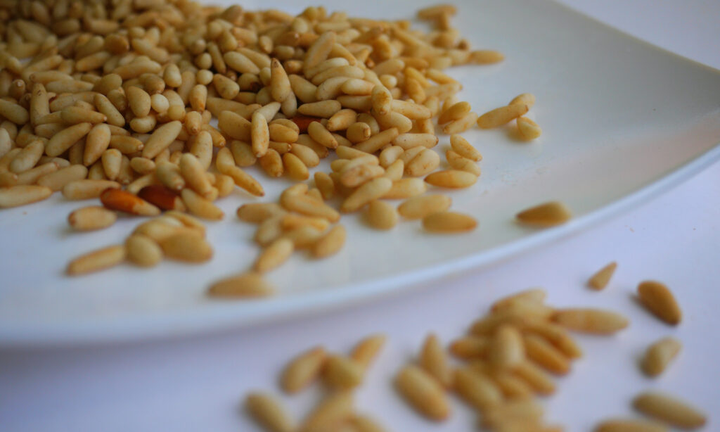 New Zealand Grown Pine Nuts