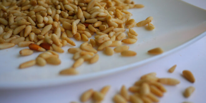 New Zealand Grown Pine Nuts