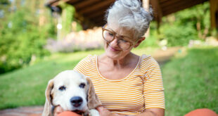Planning for a Pet While on a Limited Budget