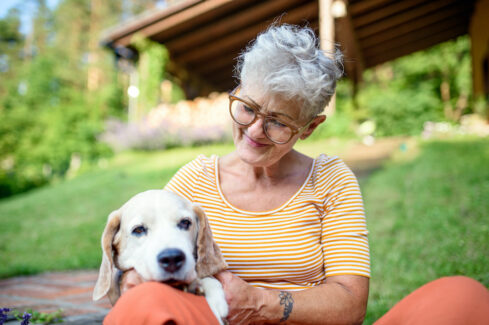 Planning for a Pet While on a Limited Budget
