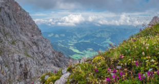 A Guide to Austria for Anyone Who Craves the Great Outdoors